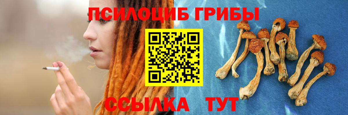 где купить наркотик  Псилоцибиновые грибы Psilocybine cubensis  Вход с VPN  Псилоцибиновые грибы мухоморы  Топки 